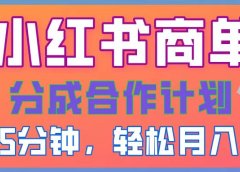 2025副业黑马曝光！0门槛小红书项目，小白也能轻松月入2万+