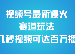 视频号最新爆火赛道玩法,流量巨大,视频制作简单,轻松月入数万