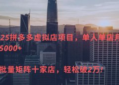 2025拼多多虚拟店项目，单人单店月入5000+ ，可批量矩阵十家店，轻松破2万!