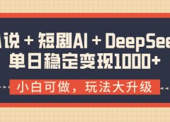 小说＋短剧AI＋DeepSeek结合变现，单日稳定变现1000+