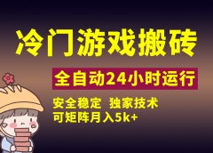 冷门游戏全自动搬砖,独家技术,稳定无风险,可矩阵月入5k,小白可做