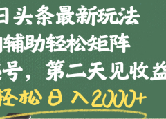 今日头条最新玩法，AI辅助轻松矩阵，当天起号，第二天见收益，轻松日入2000+