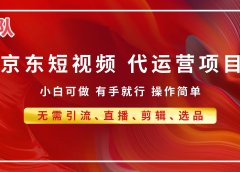 京东带货代运营，普通人翻身逆袭项目，小白有手就行，月入8000+