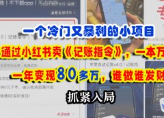 一个冷门又暴利的小项目,通过小红书卖《记账指令》,一本万利,一年变现80多万,谁做谁发财