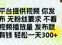 发布平台提供视频就有q 无粉丝要求 不看视频播放量