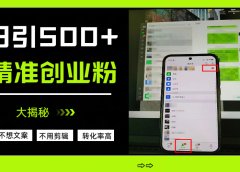 日引500+精准创业粉,方法大揭秘
