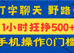 打字聊天野路子！1小时狂挣500+，手机操作0门槛，宝妈学生都能做！