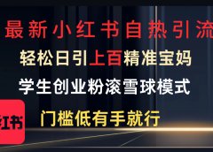 最新小红书自热引流,轻松日引上百精准宝妈,学生创业粉,滚雪球模式,门槛低有手就行的一个新规则玩法