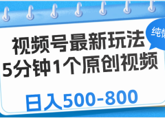 视频号最新玩法，5分钟1个原创视频，纯懒人玩法，日入500-800
