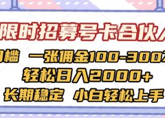 限时招募号卡合伙人 0门槛 一张佣金100-300不等 轻松日入2000+ 长期稳定 小白轻松上手