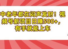 中老年都在闷声发财！视频号新项目日赚500+，有手就能上车