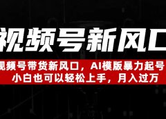 视频号带货新风口，AI模版暴力起号，小白也可以轻松上手，月入过万