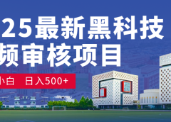 2025 开年王炸！神秘视频审核黑科技玩法炸裂登场，10 秒1单疯狂抢钱，不限时不限量，新手小白日赚500+爽到飞起！
