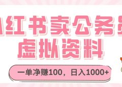 小红书卖公务员虚拟资料，一单净赚100，日入1000+