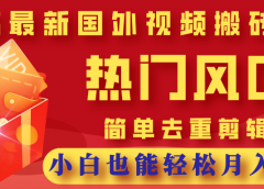 2025最新国外视频搬砖项目，热门风口，简单去重剪辑，小白也能轻松月入3W+