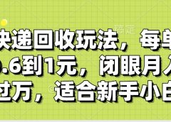快递回收自助玩法，没单收益0.6到1元，闭眼也能月入一万，适合新手小白