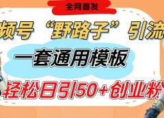 视频号“野路子”玩法,评论区疯狂截流,一套模板单日单号引流50+创业粉