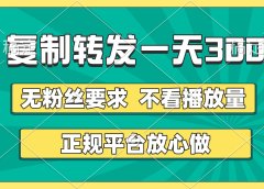 复制转发一天300+，正规平台放心做，不看播放量，无粉丝要求，随时随地赚收益