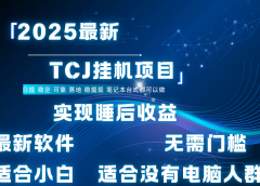最新海外TCJ无门槛美金项目可矩阵放大操作 单日可达400+日提
