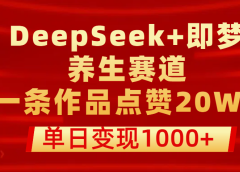 用DeepSeek+即梦做养生赛道，一条作品点赞20W+，单日变现1000+
