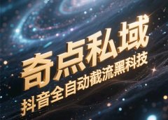奇点私域-抖音全自动截流黑科技