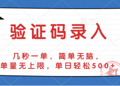 验证码录入，几秒一单，简单无脑，单量无上限，单日轻松500+