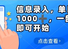 信息录入，几秒钟一单，只需一部手机即可操作，0成本，每天1000