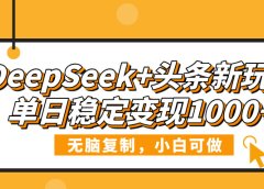 DeepSeek+头条新玩法，无脑复制，小白可做，单日稳定变现1000+