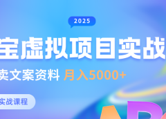 淘宝虚拟项目垂直玩法，新手卖文案资料，月入5000+