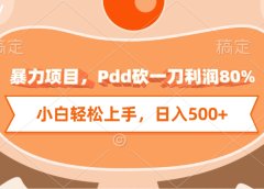 暴力项目，Pdd砍一刀利润80%，小白轻松上手，日入500+