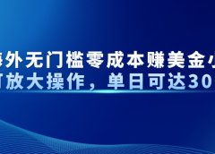 最新海外无门槛美金小众项目可放大操作，单日可达300+