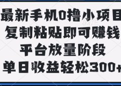 最新手机0撸小项目，复制粘贴即可赚钱，单日收益轻松300+