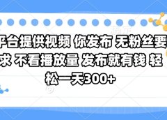 平台提供视频 你发布 无粉丝要求 不看视频播放量 发布就有钱 轻松一天300+