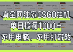 真全网独家CSGO挂机，单日捡漏1000+