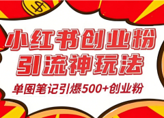 25年最新实测小红书爆文日引500+创业粉