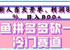 咸鱼拼夕夕砍一刀冷门暴力赛道，新人当天开单，利润百分之八十，日入 800+