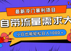 最新冷门暴利项目，自带流量需求大，小白也能轻松日入1000+