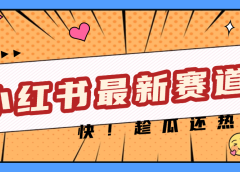 妈呀，小红书的这个赛道涨粉也太快了吧