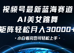 视频号蓝海赛道玩法，当天起号，拉爆流量收益，小白也能轻松月入30000+