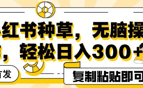 全网首发小红书种草,无脑操作,复制粘贴即可,轻松日入300+