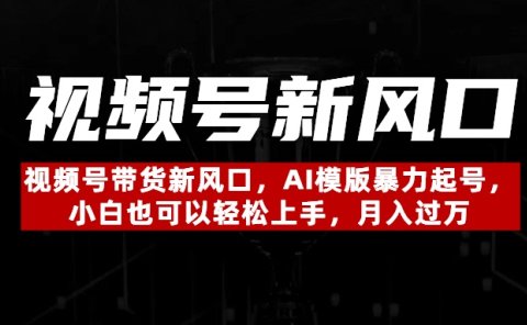 视频号带货新风口，AI模版暴力起号，小白也可以轻松上手，月入过万