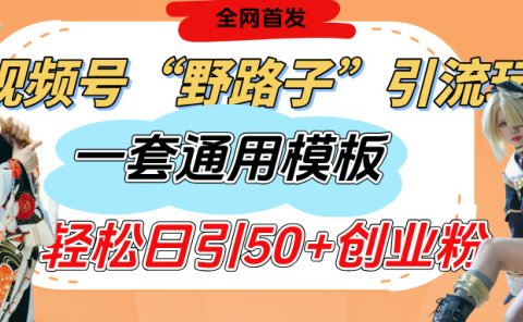 视频号“野路子”玩法,评论区疯狂截流,一套模板单日单号引流50+创业粉