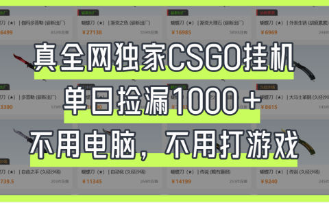 真全网独家CSGO挂机，单日捡漏1000+