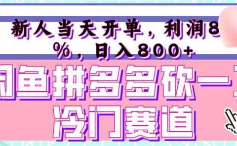 咸鱼拼夕夕砍一刀冷门暴力赛道，新人当天开单，利润百分之八十，日入 800+