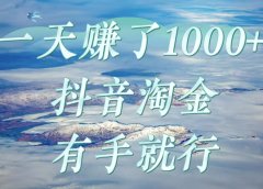 一天赚了1000+,抖音淘金计划,有手就行