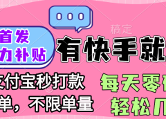 全网首发项目, 有快手就能做, 每天零碎时间轻松几百块