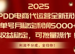 2025 PDD电商代运营全新玩法，单号月稳定利润5000+，收益稳定，可批量操作！