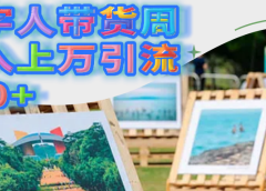 数字人带货周收入上万引流200+