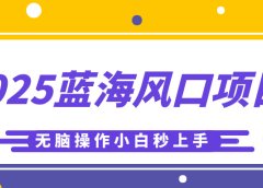 2025蓝海风口项目,利用AI工具一键生成儿童益智早教视频,无脑操作小白秒上手,轻松日入500+
