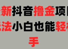 25最新抖音直播撸金项目,小白也能轻松上手!